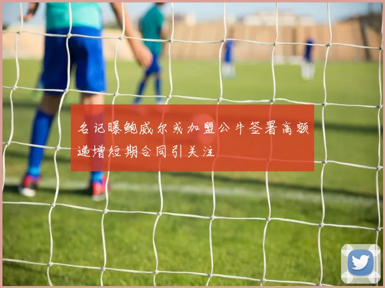 名记曝鲍威尔或加盟公牛签署高额递增短期合同引关注